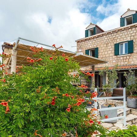 Villa Doris Mlini Dış mekan fotoğraf